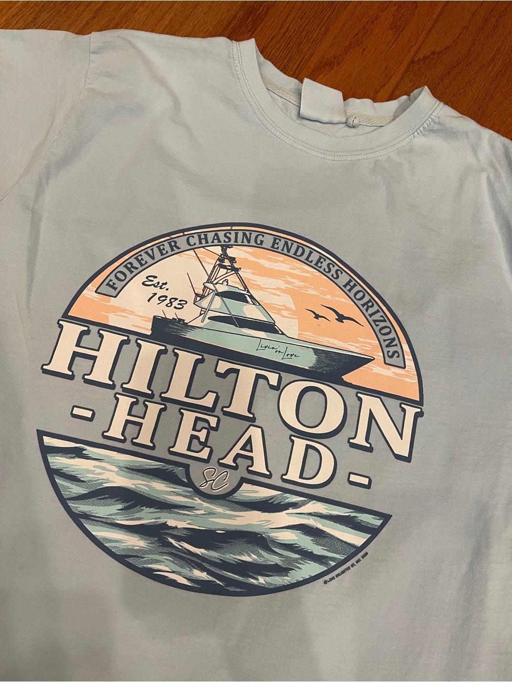U.S. Vintage Hilton Head "Forever Chasing Endless Horizons" Light Blue T-Shirt M